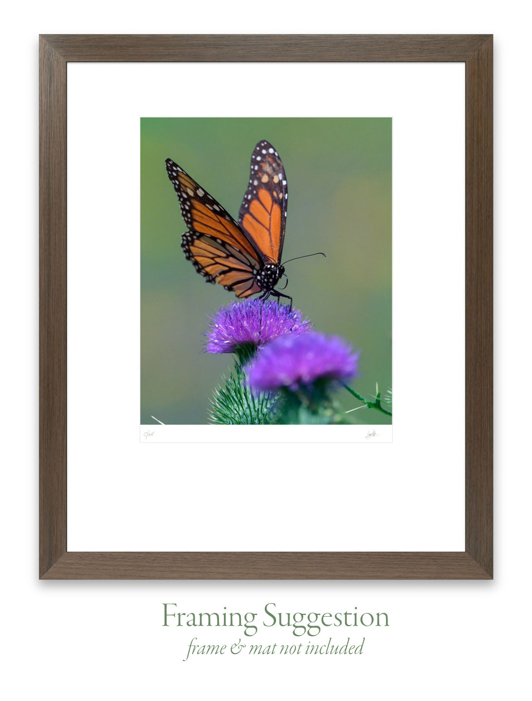 No. 48 Beautiful Leap – 7¼” x 8⅓” Print, Unframed