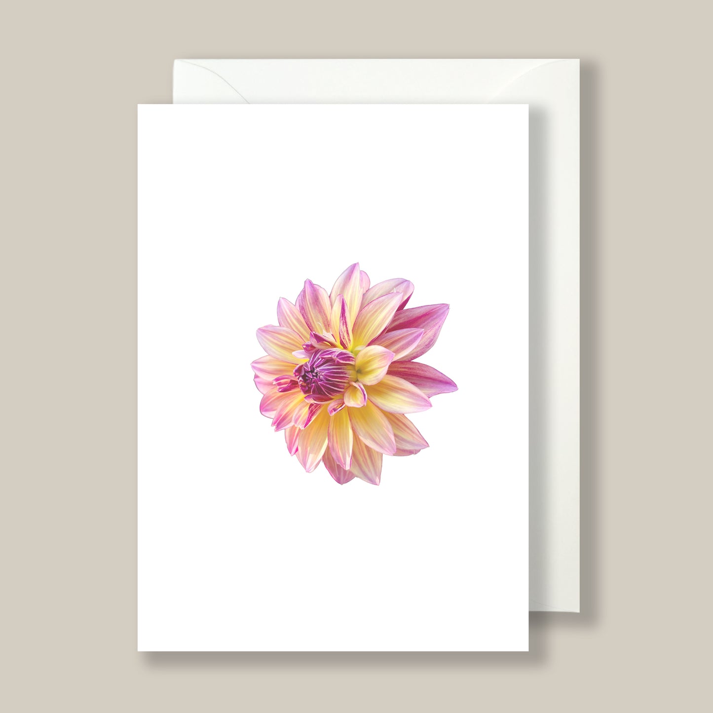 Caribbean Fanstasy - Box of 10