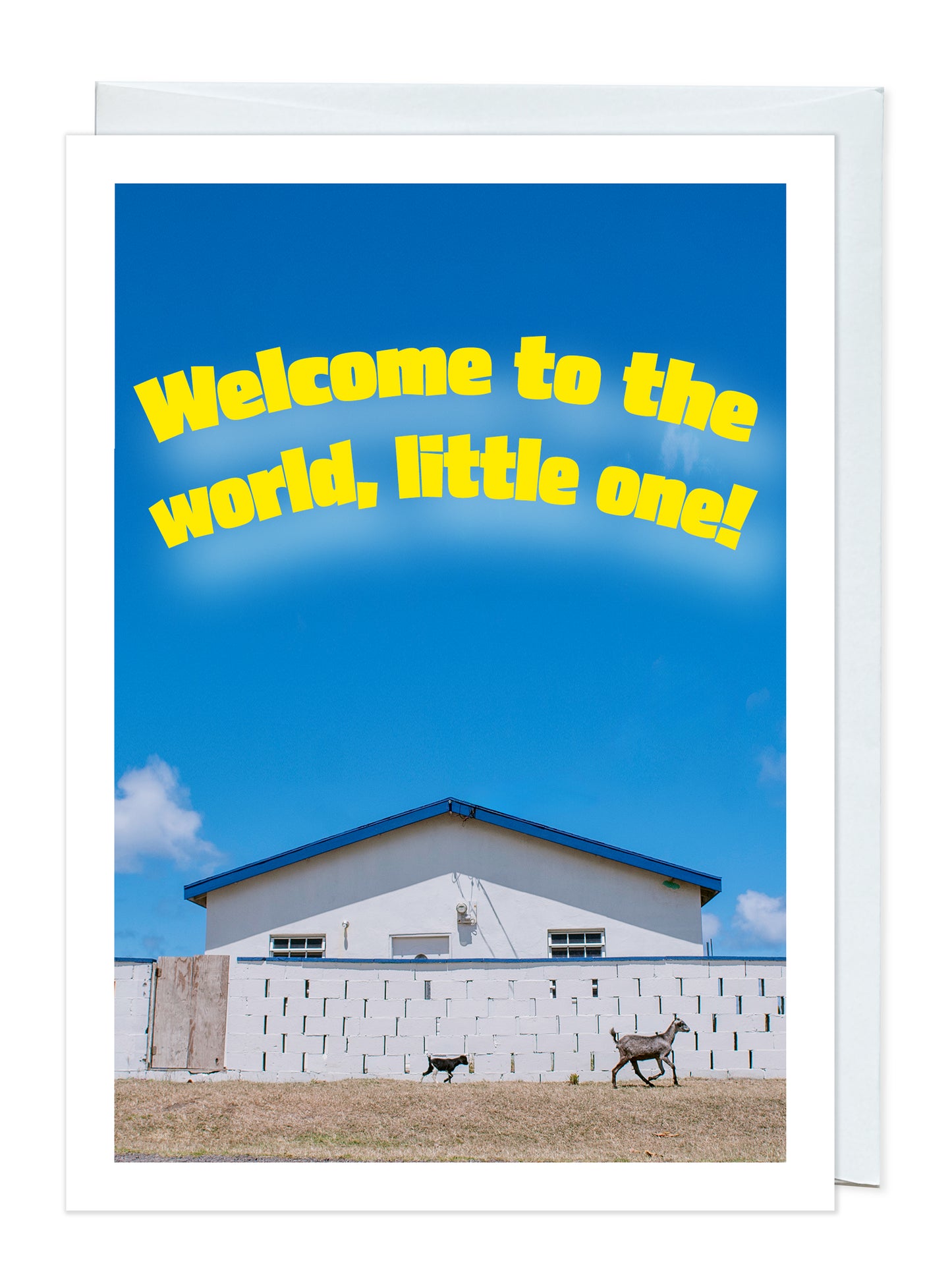 Welcome to the World, Little One!