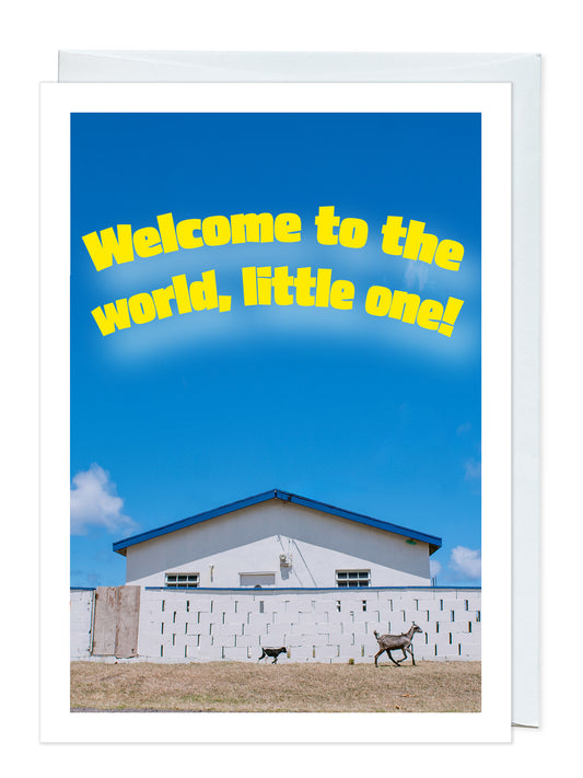 Welcome to the World, Little One!