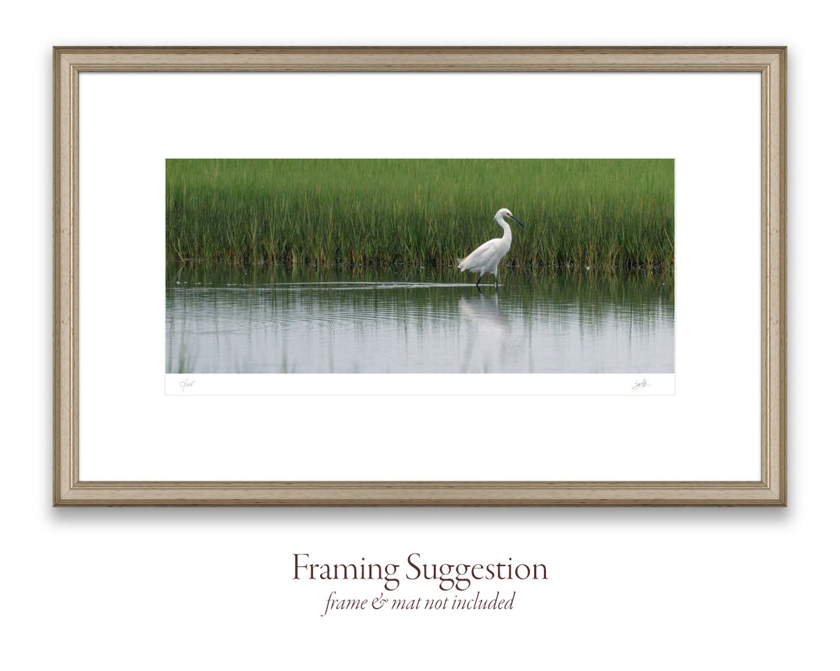 No. 46 Snowy Egret Strolls Through Bell’s Neck – 15¾” x 7¾” Print, Unframed