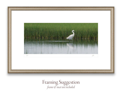 No. 46 Snowy Egret Strolls Through Bell’s Neck – 15¾” x 7¾” Print, Unframed