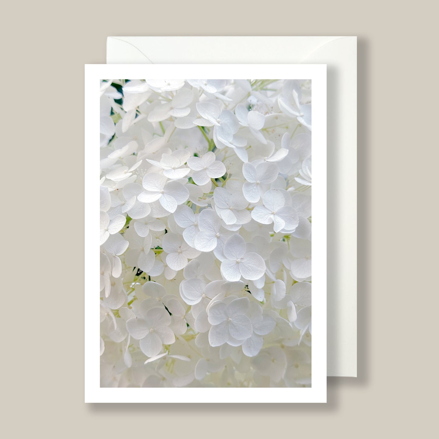 Artifact No. 30 | Spring Mix '26 | Five Flowers, Ten Card Set | Limited Release