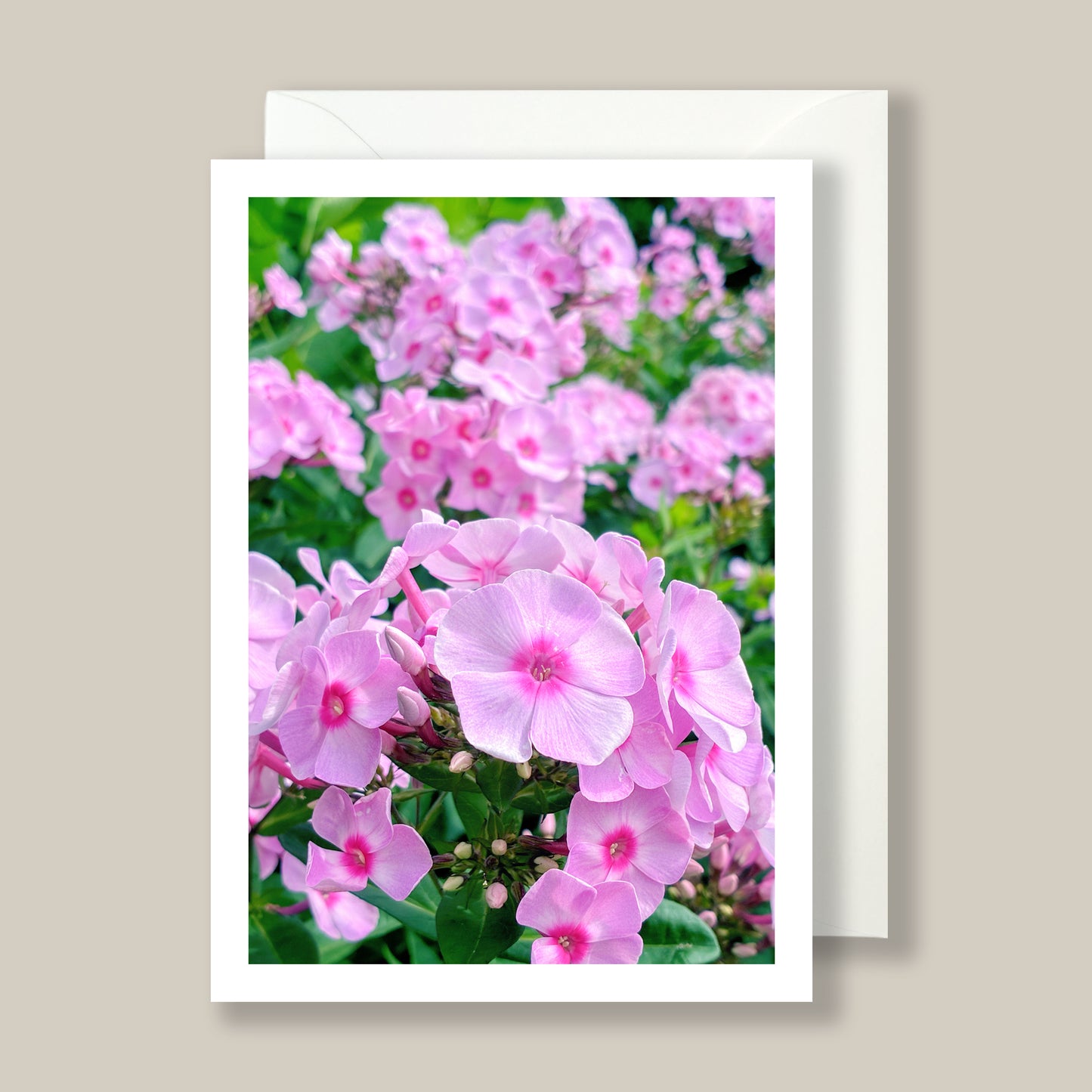 Artifact No. 30 | Spring Mix '26 | Five Flowers, Ten Card Set | Limited Release