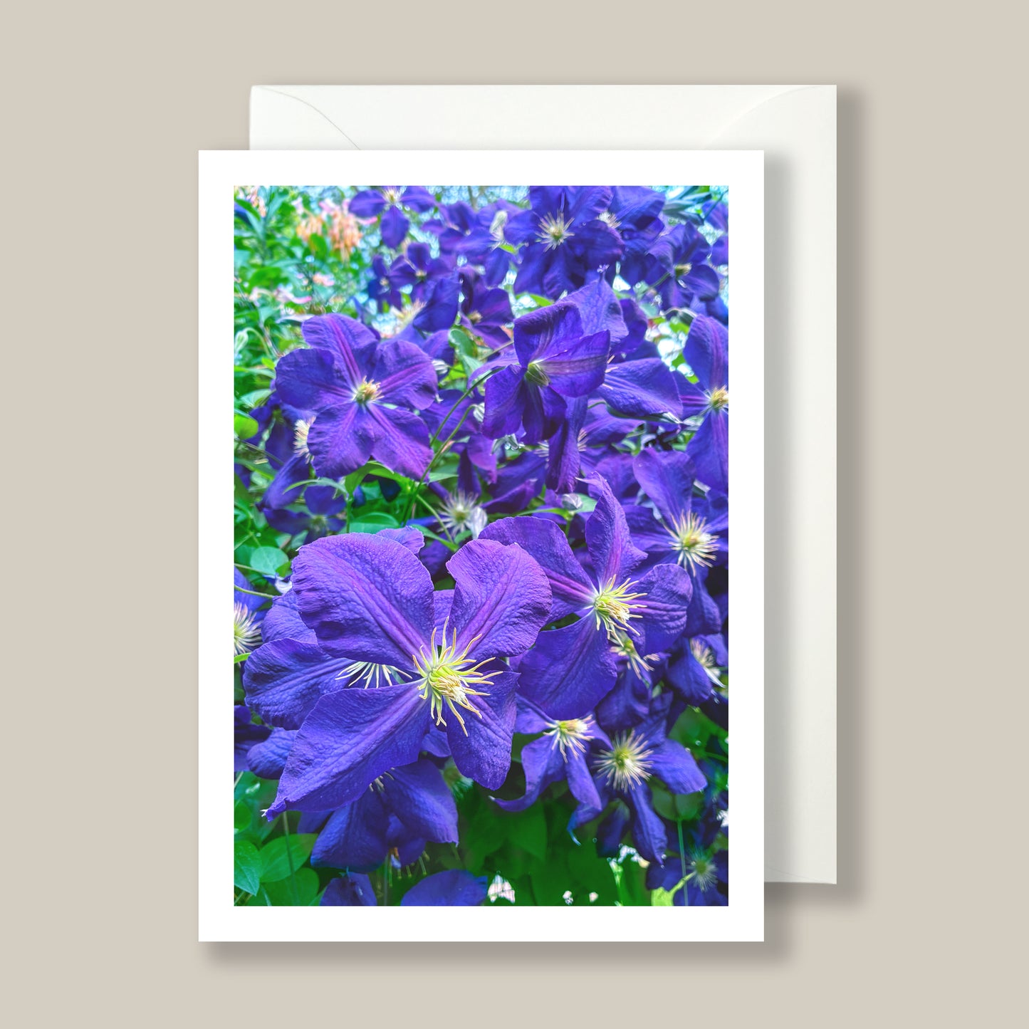 Artifact No. 30 | Spring Mix '26 | Five Flowers, Ten Card Set | Limited Release